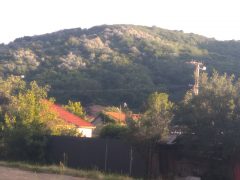 Tokaji Bornapok 2022