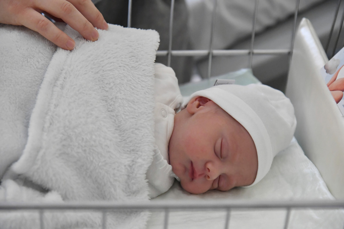 Donát, 2024 első fővárosi babája