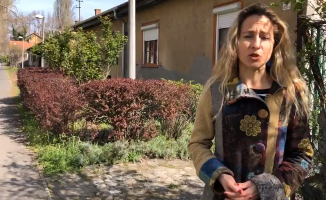 Szabó Rebeka rákosrendező