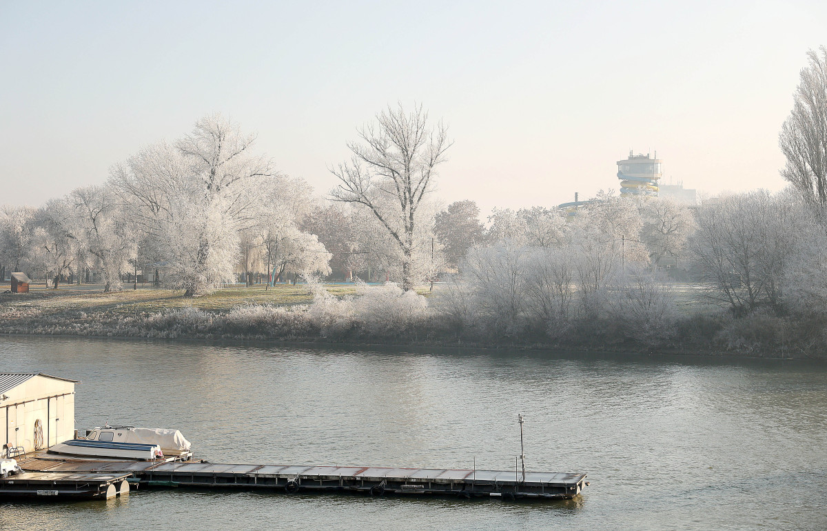 Szeged, zúzmara, tél, időjárás, január, hideg, fagy